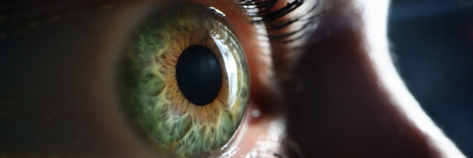 Female One Green Gray Eye Closeup. Farsightedness Myopia